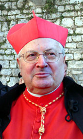Picture of Cardinal in Red Suit.png